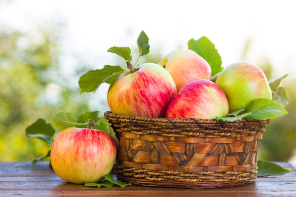 Consejos para una Alimentación Sana