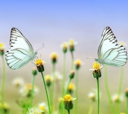 Trastorno Bipolar: Una Realidad Invisibilizada